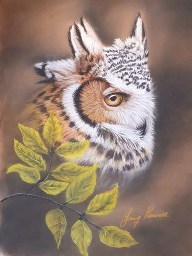 Pastel, Long-eared owl.